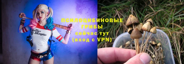 ГАЛЛЮЦИНОГЕННЫЕ ГРИБЫ Беломорск