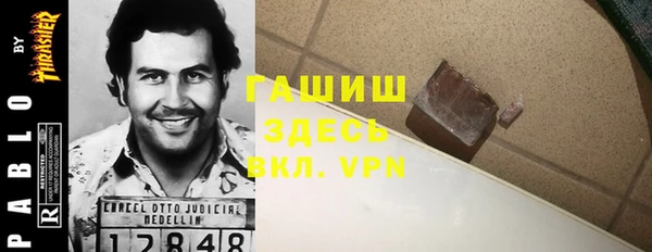 хмурый Белокуриха