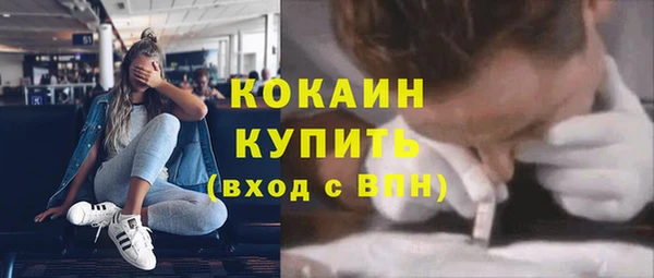 хмурый Белокуриха