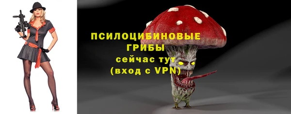 ГАЛЛЮЦИНОГЕННЫЕ ГРИБЫ Беломорск