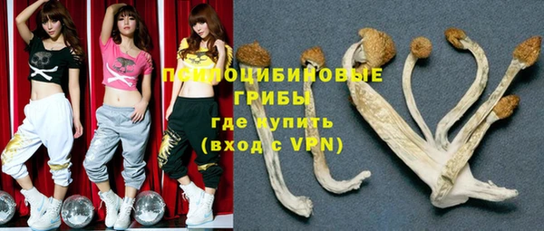 ГАЛЛЮЦИНОГЕННЫЕ ГРИБЫ Беломорск