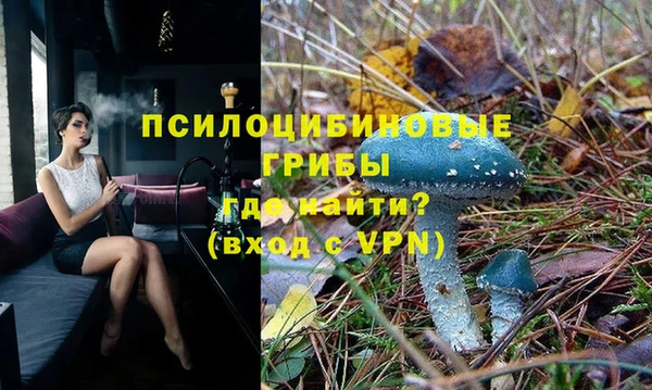 хмурый Белокуриха