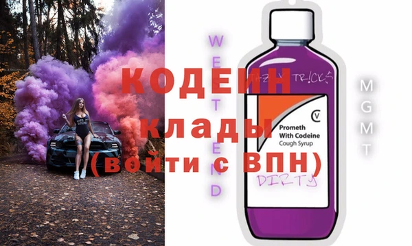 хмурый Белокуриха
