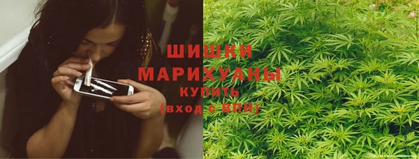 ГАЛЛЮЦИНОГЕННЫЕ ГРИБЫ Беломорск