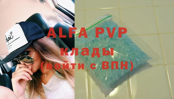хмурый Белокуриха