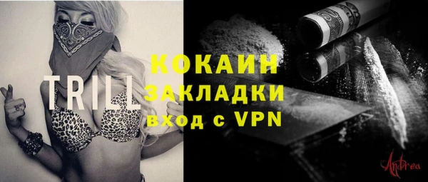 хмурый Белокуриха